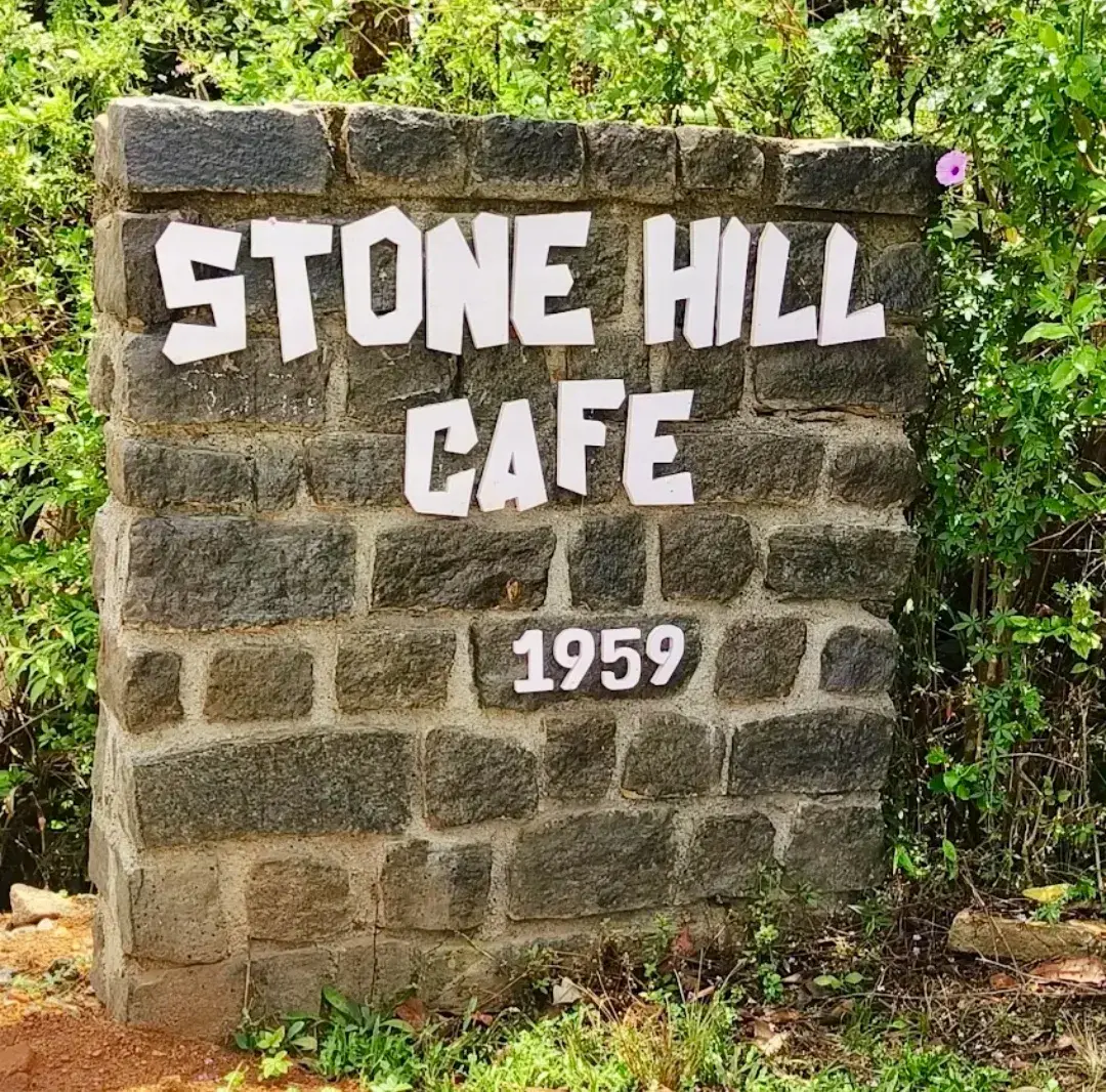 “Stone Hill Cafe 1959” carved into a dry stone wall, framed by greenery.